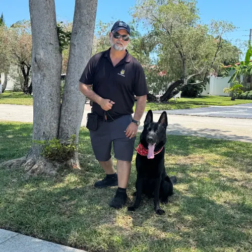 K9 Advisors Professional Dog Trainers